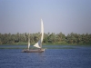 IMGP0377