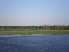IMGP0386