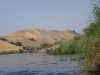 IMGP0433