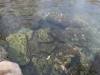 Dzibilchaltun_21