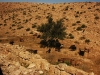 J4_P5_route_Toujane