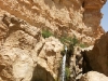J6_P16_Oasis_Tamerza