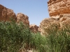 J6_P17_Oasis_Tamerza