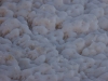 J6_P3_Chott_ell_Djerid