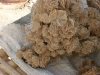 J6_P6_Chott_ell_Djerid_rose_sables